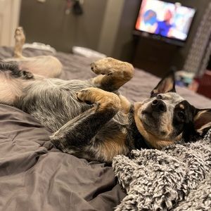 Meet your Posher, Tes